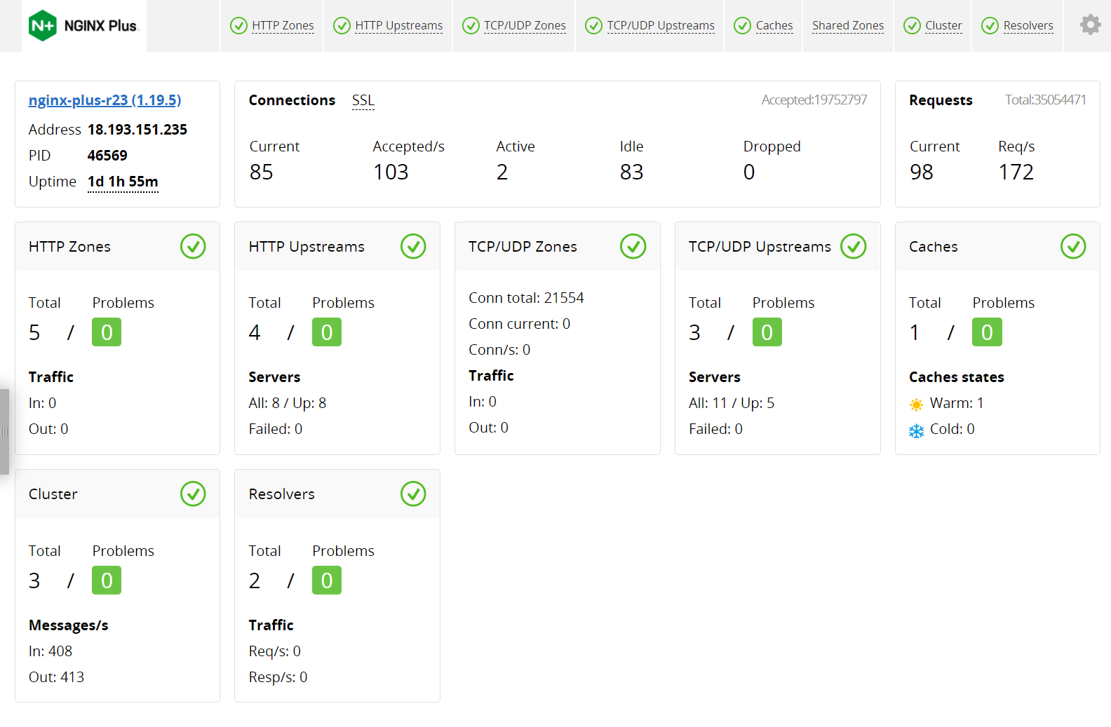 nginx-plus-dashboard-R23-overview.png